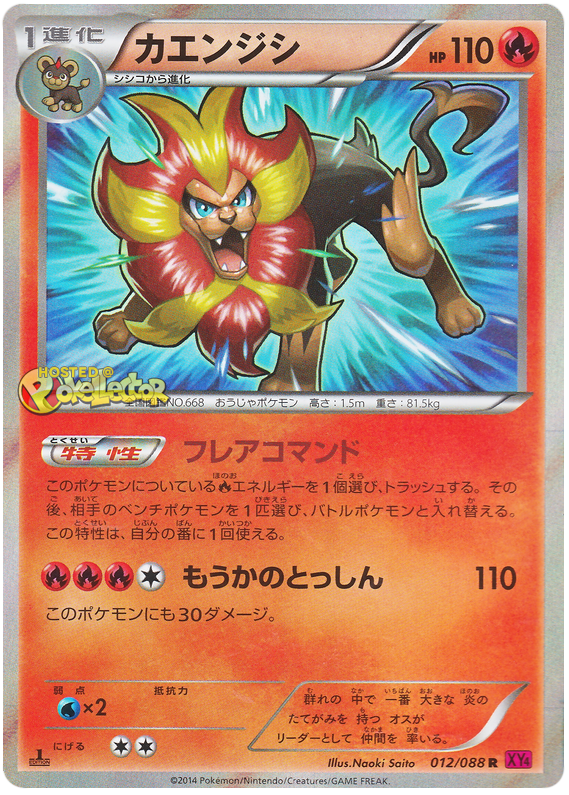 Pyroar Phantom Gate 12 Pokemon Card