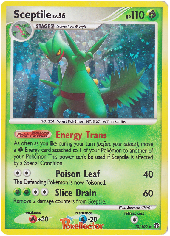 Sceptile Stormfront 10 Pokemon Card